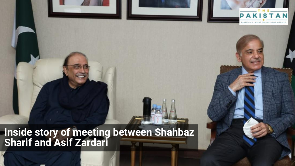 What Was Decided In The Meeting Between Asif Zardari And Shahbaz Sharif