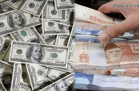 Pakistani Rupee loses Against the Dollar