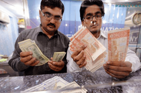 Rupee Continues to Fall Against the Dollar