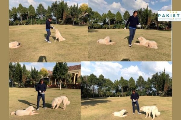 Imran Spends Time With Pet Dogs At Banigala