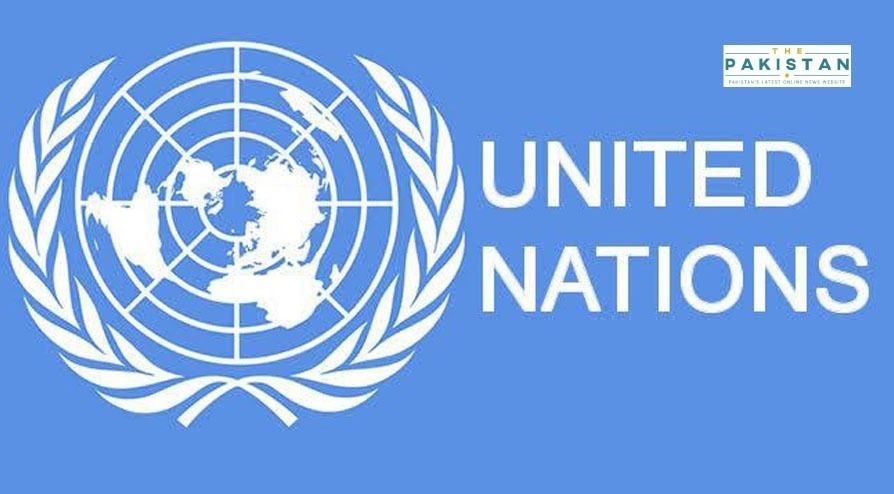 UN Adopts Pakistan’s Resolution On Self-Determination