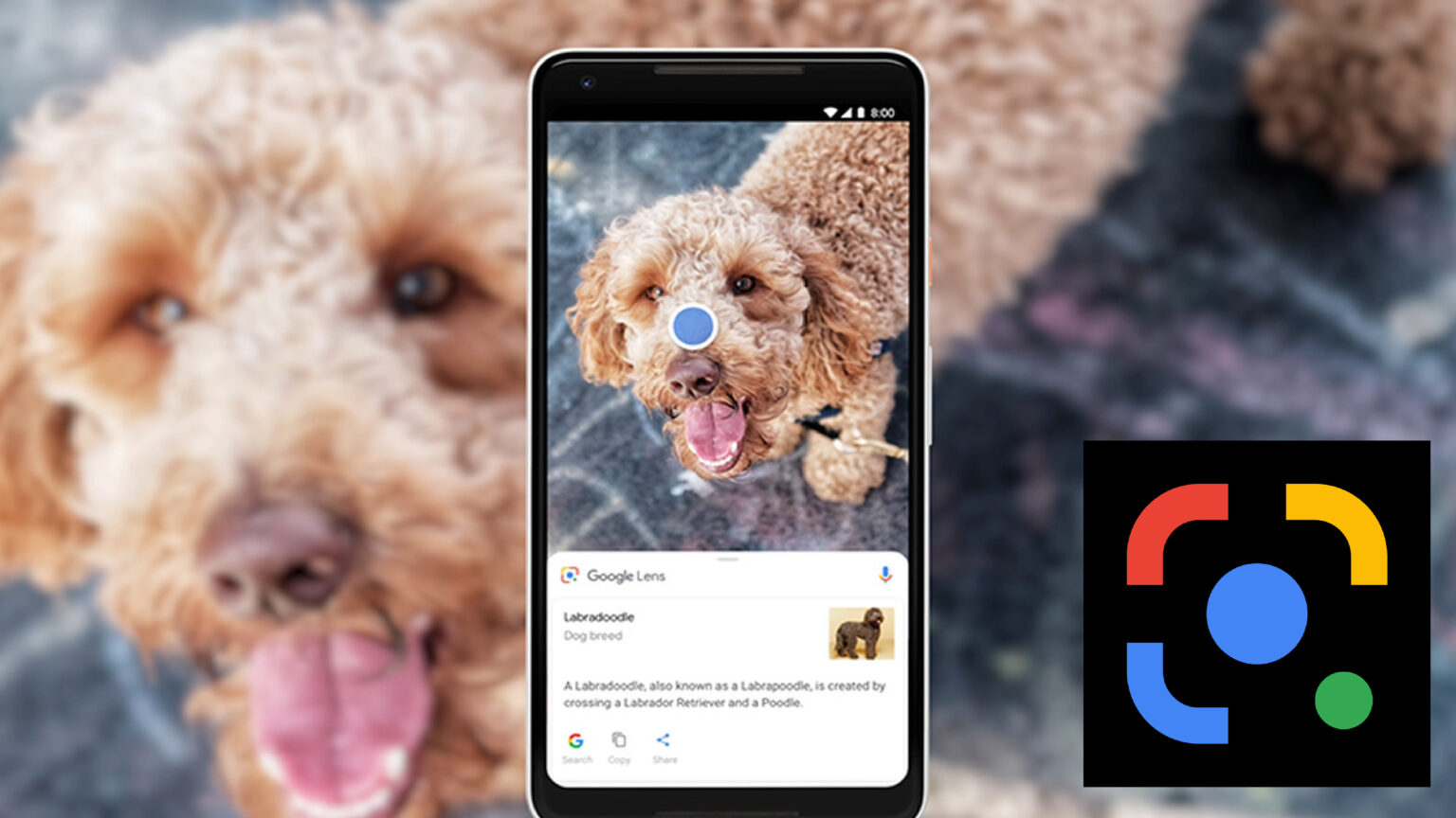 google-lens-allows-automatic-translation-of-screenshots