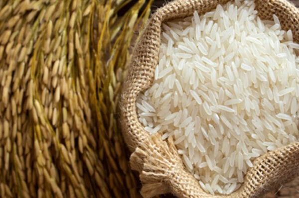 Rice exports: Where’s Pakistan headed to?