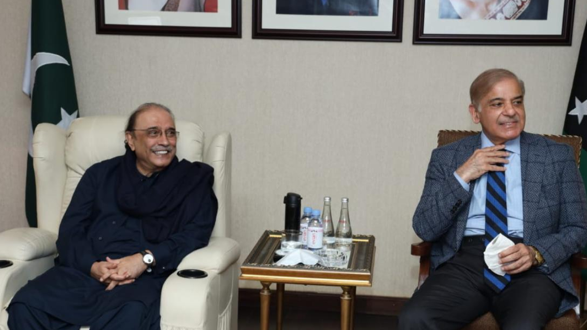 What was decided in the meeting between  Asif Zardari and Shahbaz Sharif?