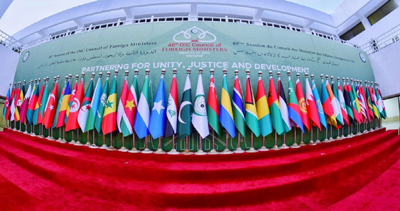 OIC lauds Pakistan's role for stability in South Asia