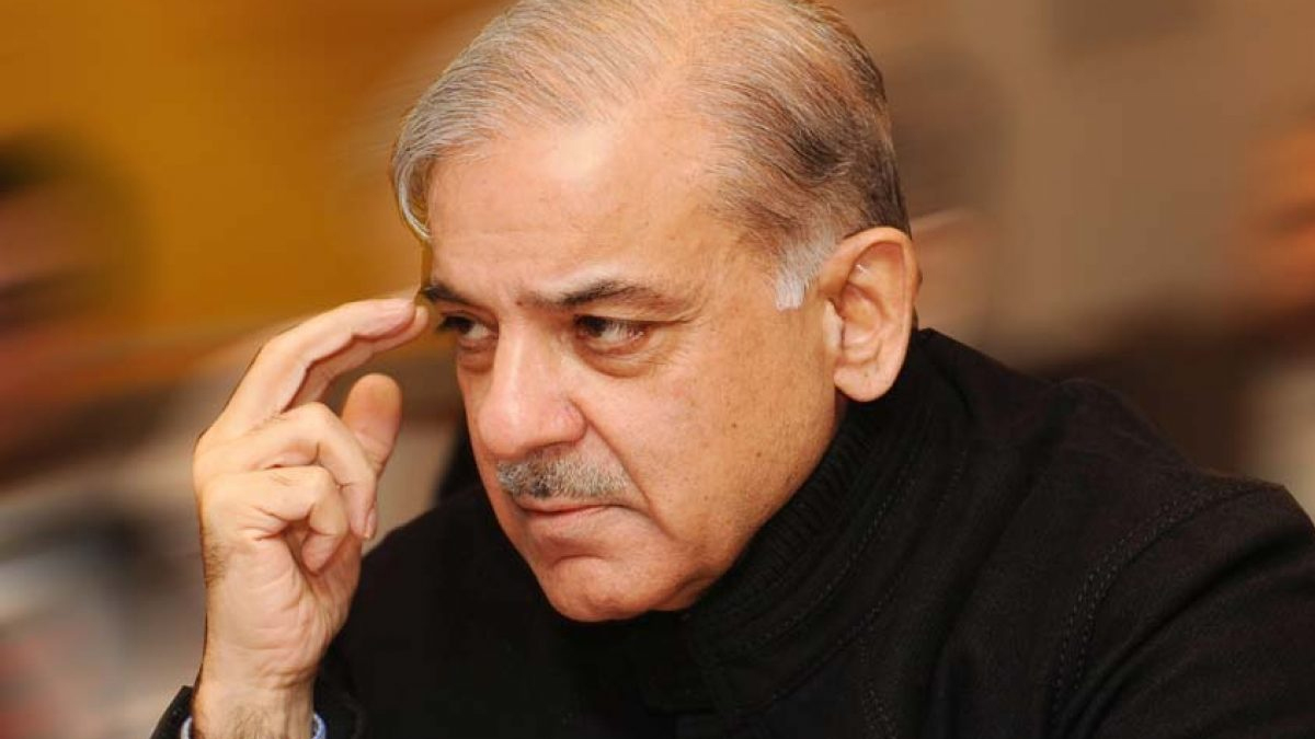 Ruling allies express complete confidence in PM Shehbaz