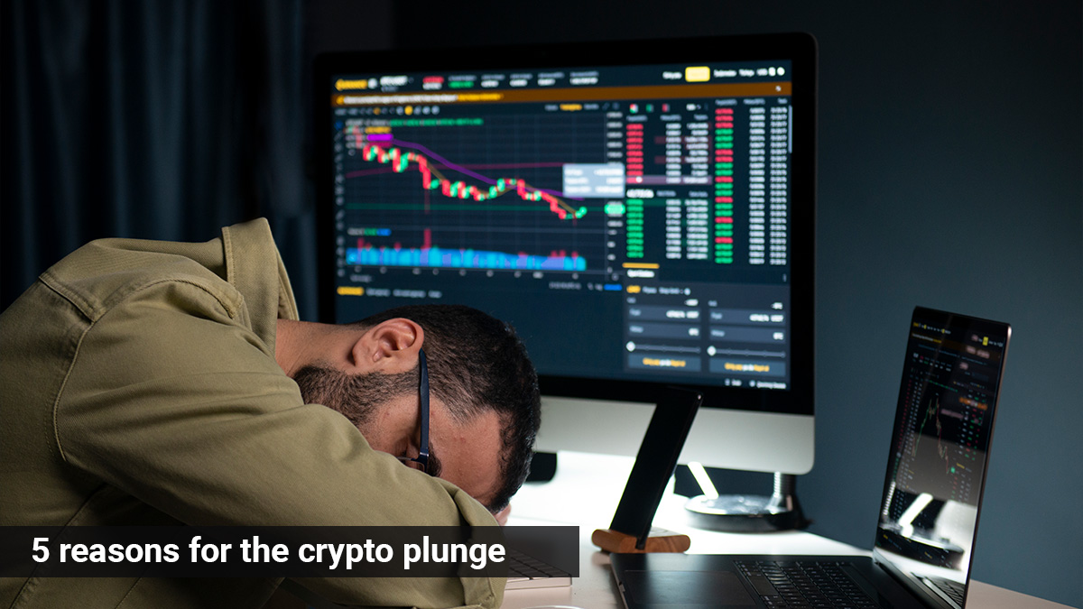 crypto plunge today