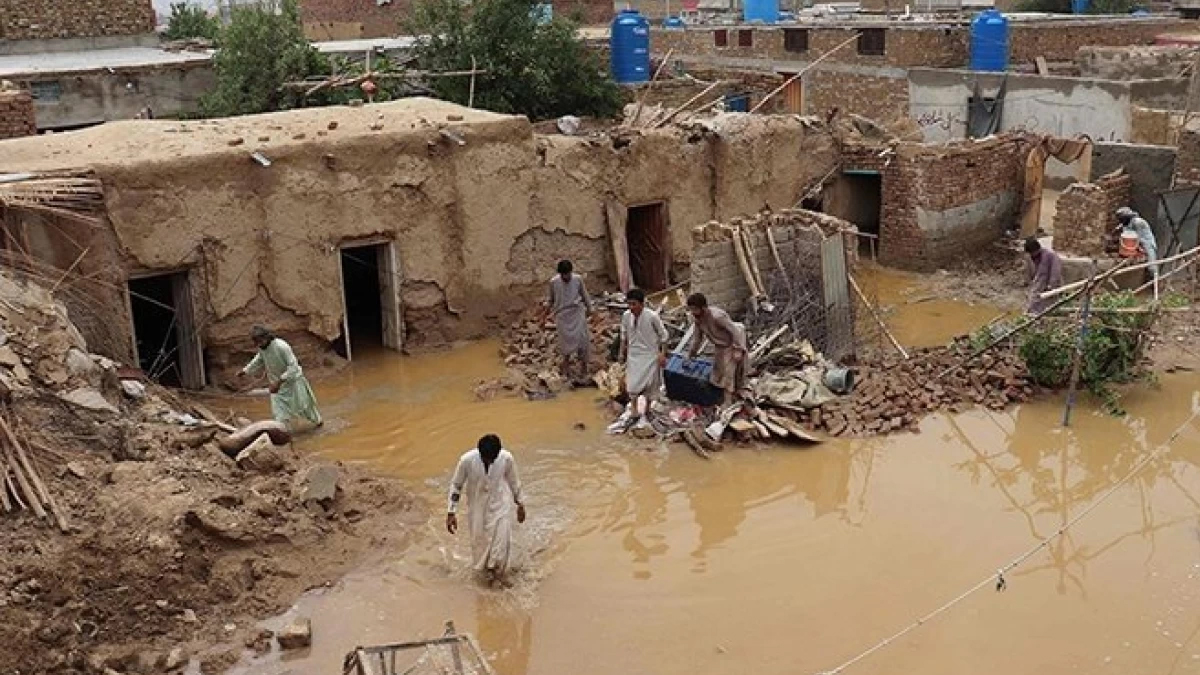 Eight Killed in Rains in Balochistan