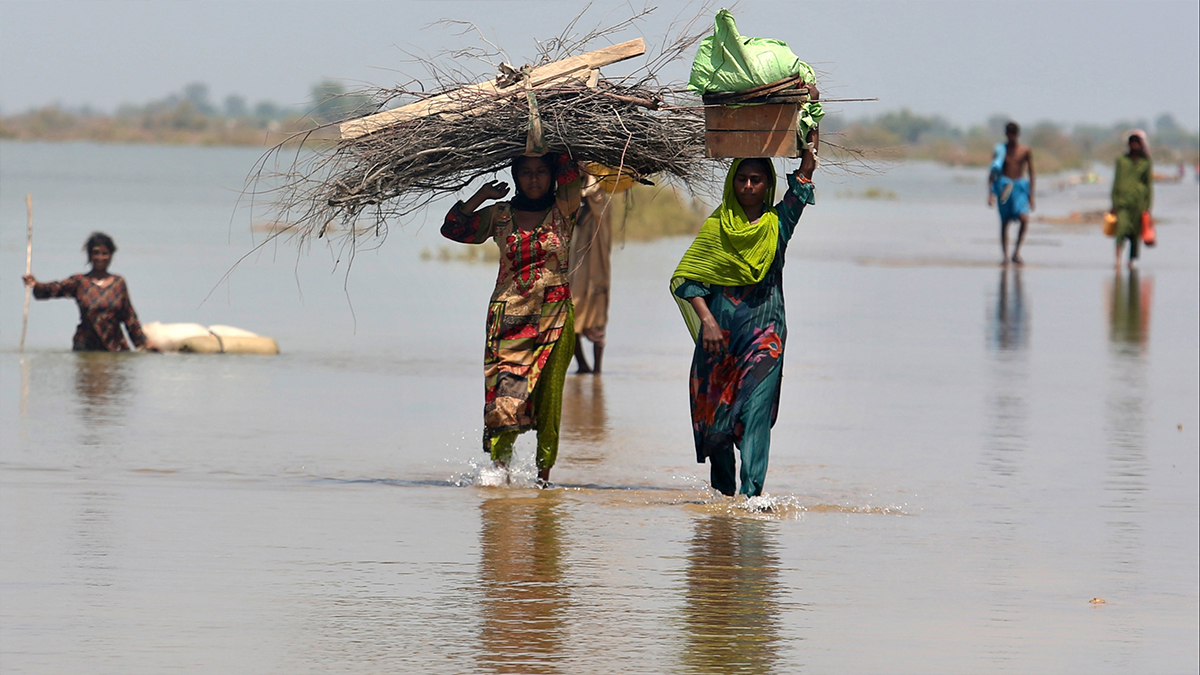 1,100 schools destroyed in KP floods