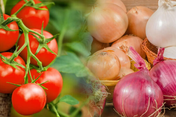 Govt Removes Taxes on Import of Tomato and Onion till Dec 31