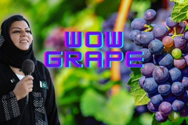 ‘Wow, grape’ meme