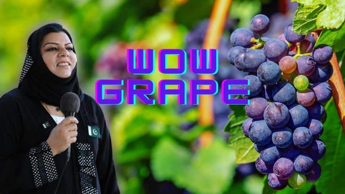 ‘Wow, grape’ meme