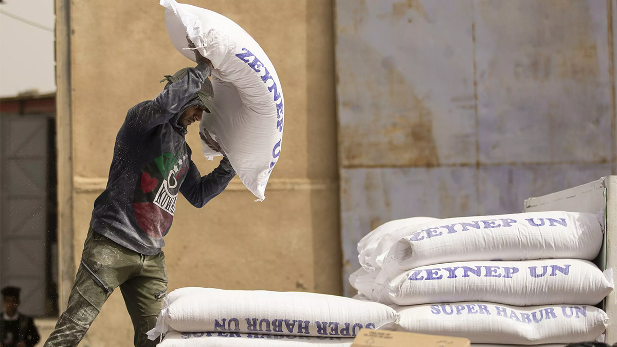 Steps taken to overcome Flour Crises