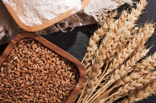 Pakistan may face serious challenges in wheat production in 2023