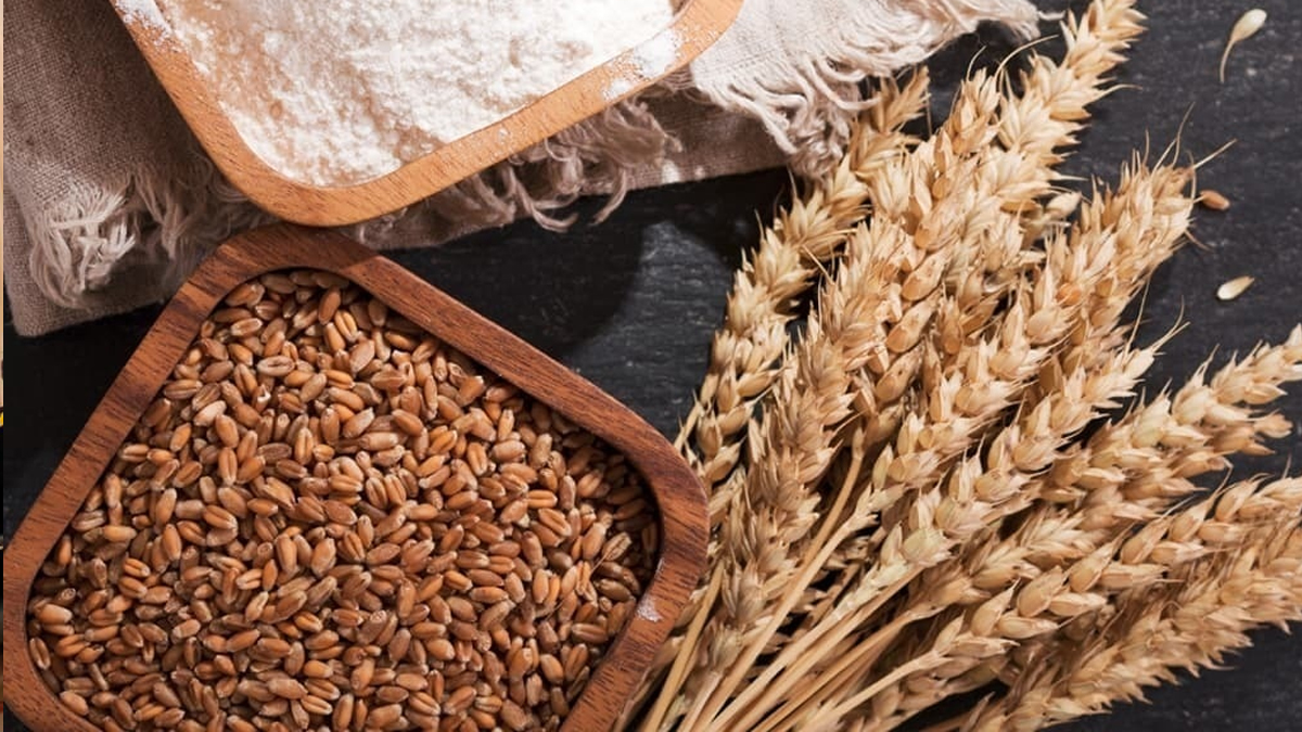 Pakistan may face serious challenges in wheat production in 2023