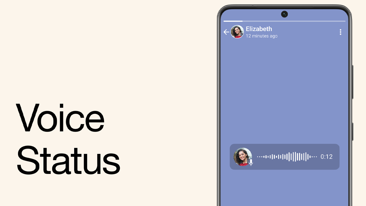 Voice Notes on WhatsApp status