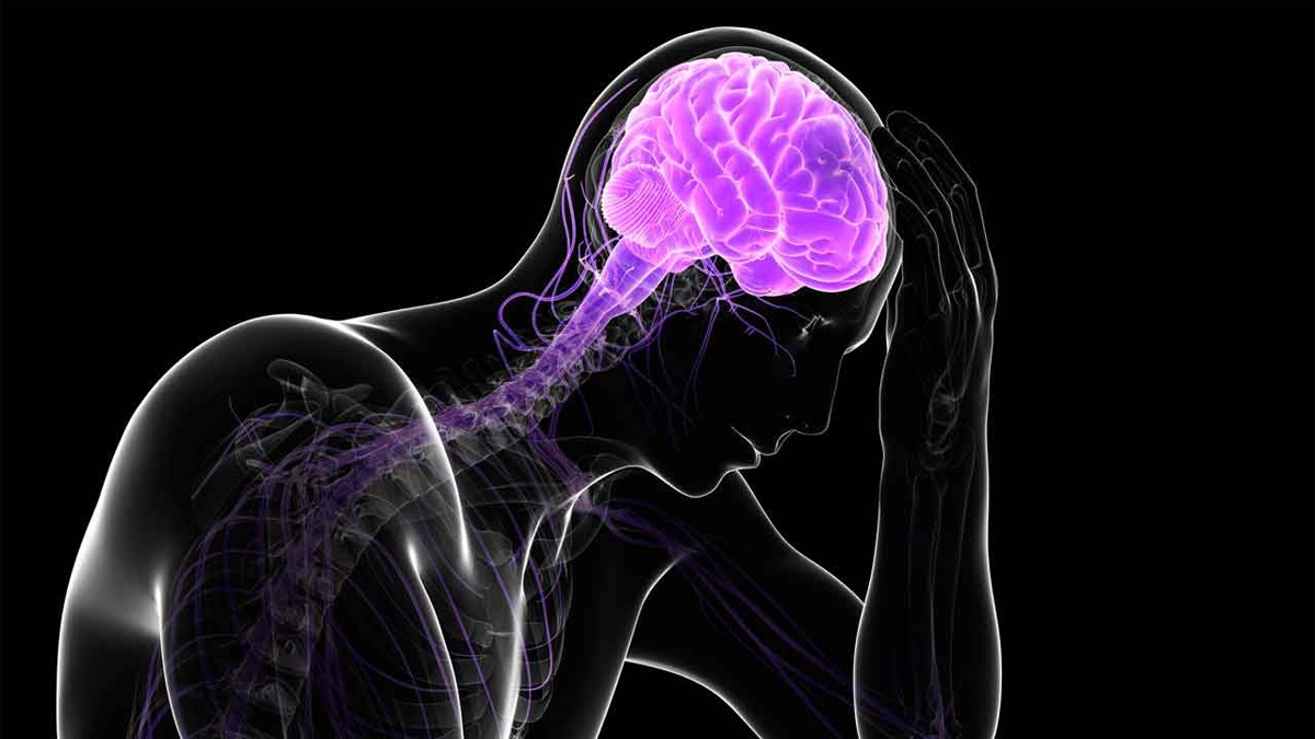Ways Stress affects Human Brain