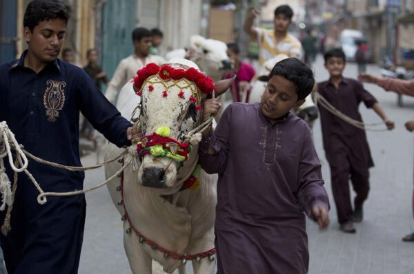 Pakistanis Celebrating Eid ul Azha