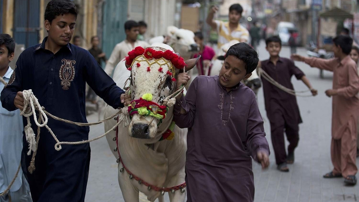 Pakistanis Celebrating Eid ul Azha