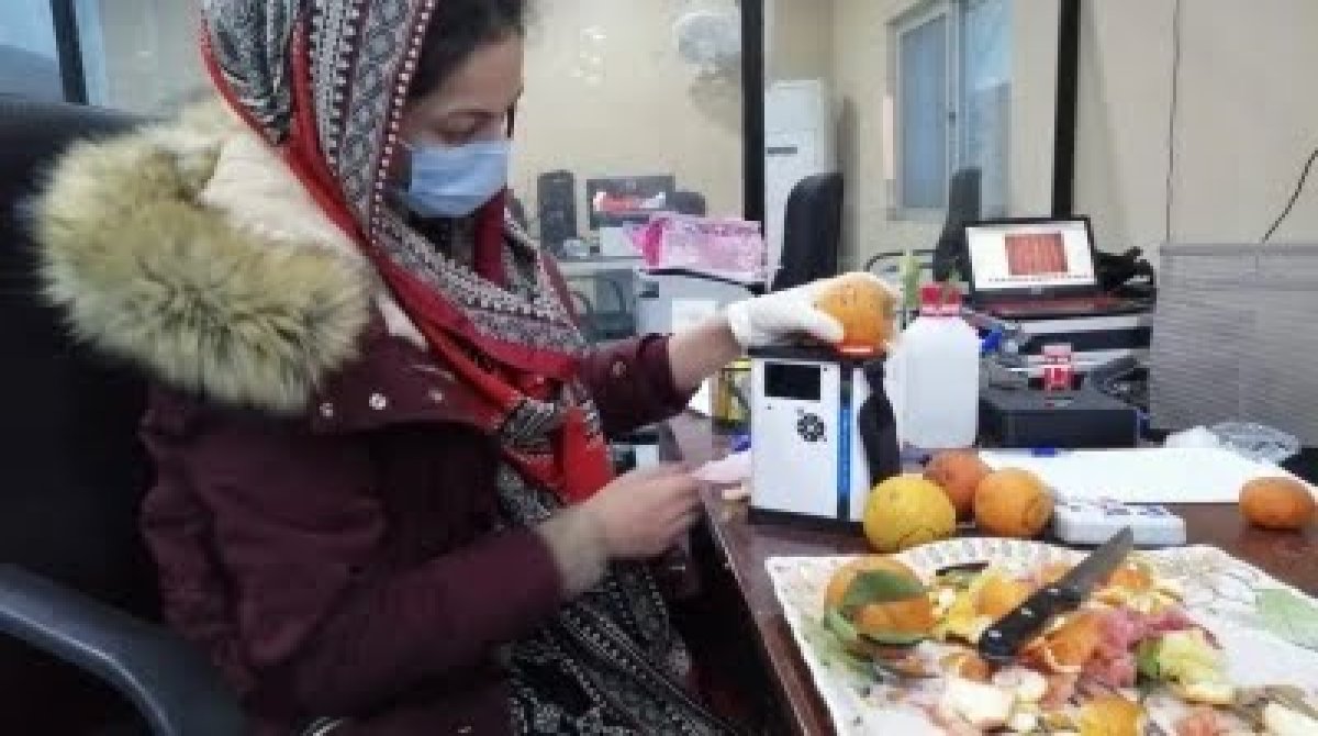 Pakistani AI to check Citrus Fruits’ sweetness