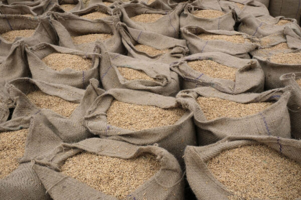 UAE ban on Rice export