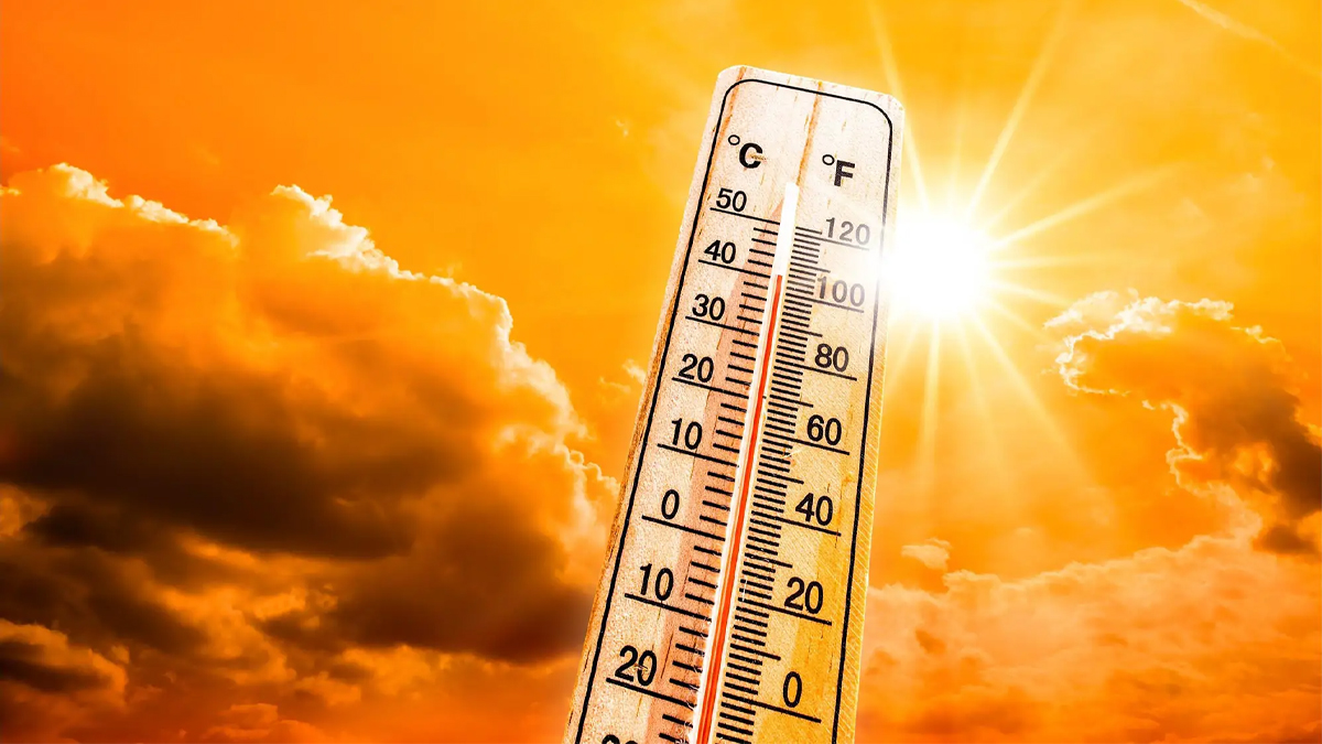 How Heatwaves hit Business ?