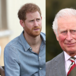 Harry and Meghan revenge warning