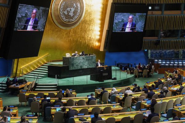 durable, sustained gaza ceasefire crucial for palestinian relief pakistan urges international cooperation