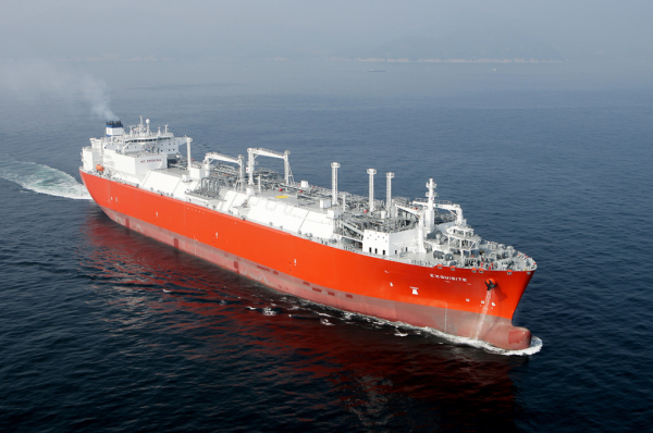 largest ever lpg cargo ship docks at pakistan's bin qasim port