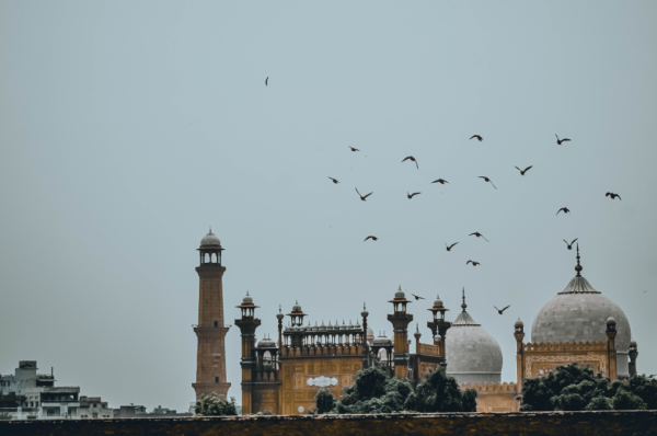 pakistan grants visas for sikh pilgrims' spiritual journey on guru nanak's birthday