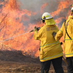 emergency evacuation ordered as bushfire engulfs australia's southern regions