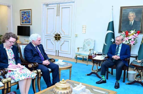 german business team to visit pakistan for strengthening bilateral ties