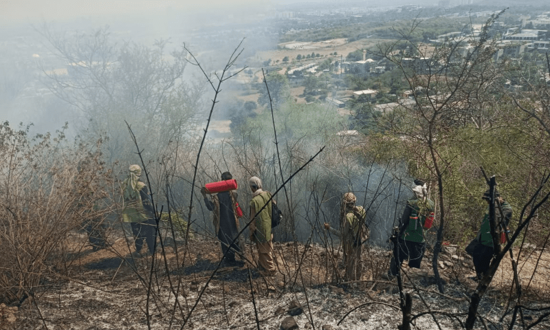 fire extinguishing efforts under way as margalla hills again catches fire