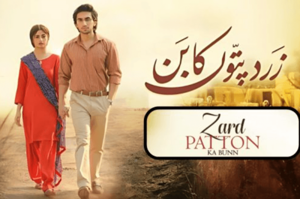 why-zard-patton-ka-bun-is-a-must-watch-drama