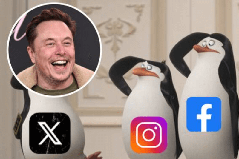 elon musks x formerly twitter wins the social media battle against metas facebook and instagram