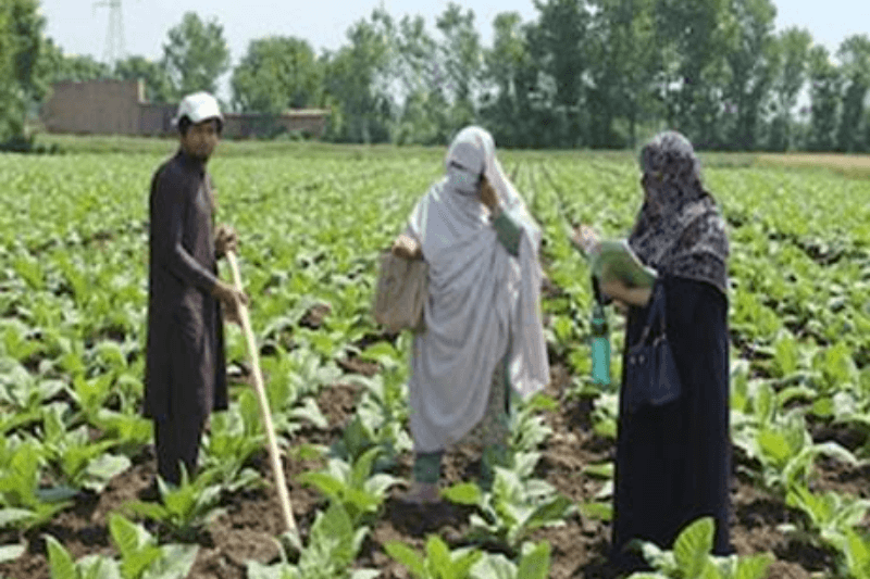 women breaking barriers in pakistans farming communities