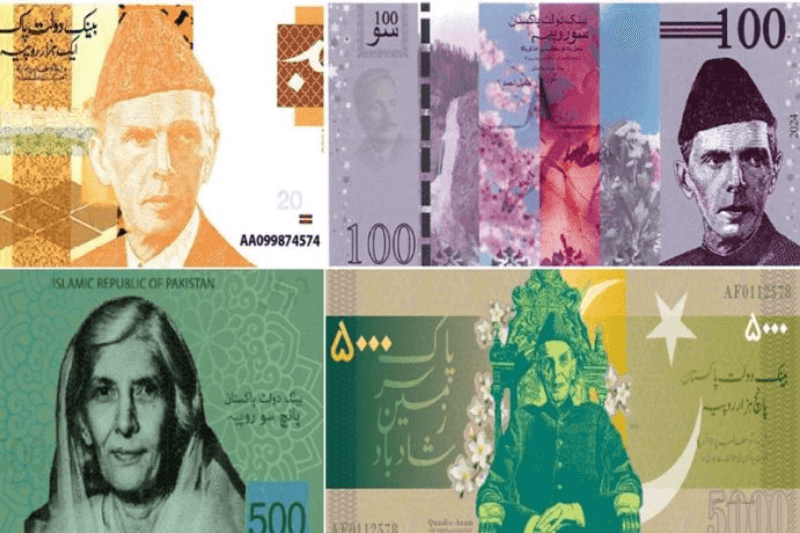 sbp reveals new banknote designs