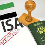 UAE Envoy Dispels Visa Concerns for Pakistani Nationals