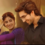 After the successful TV drama Zard Patton Ka Bunn, Sajal Aly, and Hamza Sohail are working together on another project.