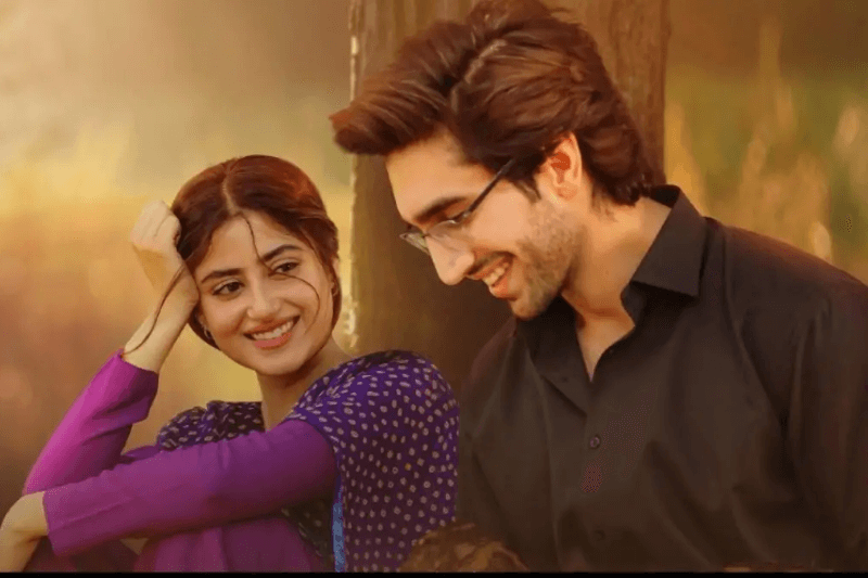 After the successful TV drama Zard Patton Ka Bunn, Sajal Aly, and Hamza Sohail are working together on another project.