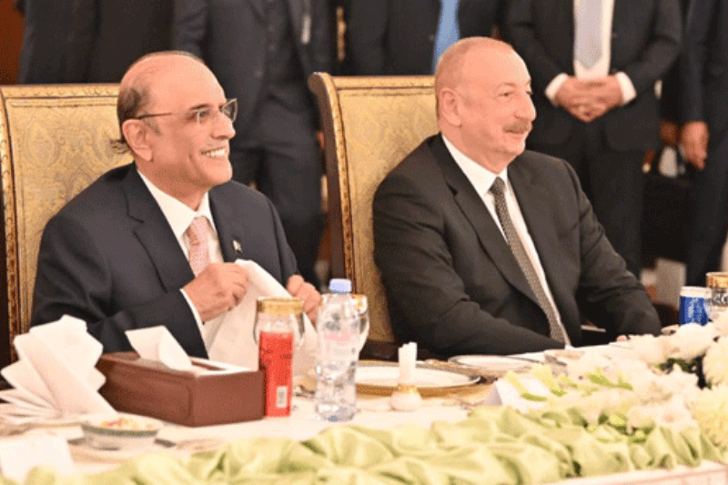 President Zardari Expresses the Futuristic Notion in “Chinese Business Delegation”