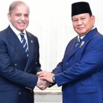 Pakistan, Indonesia Strengthen Economic Ties at D-8 Summit in Cairo