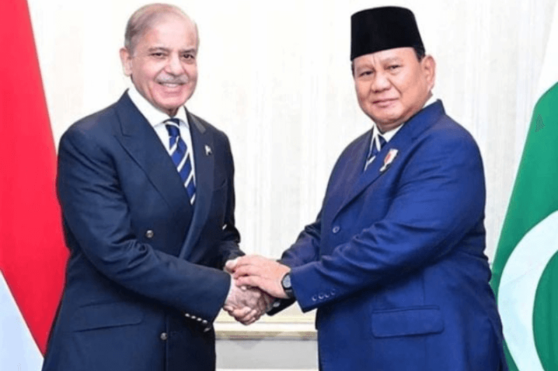 Pakistan, Indonesia Strengthen Economic Ties at D-8 Summit in Cairo