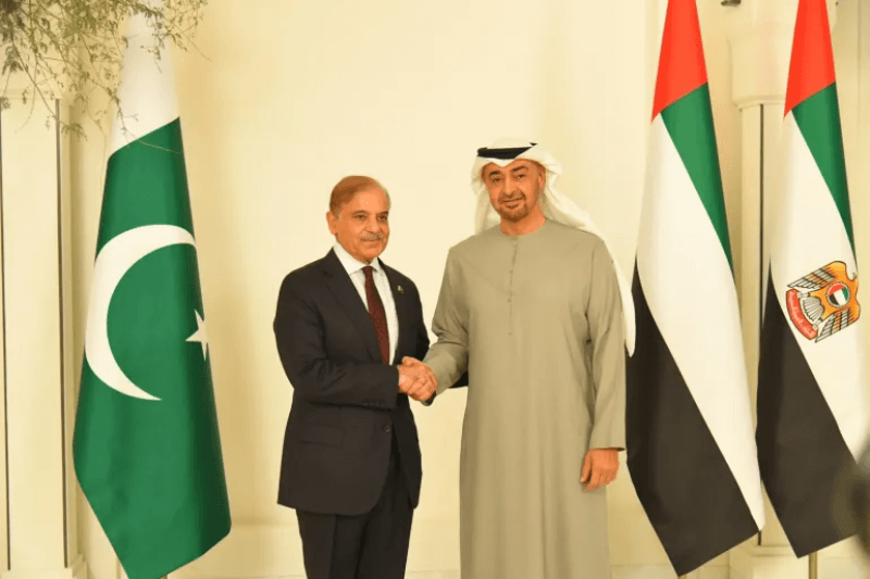 UAE's Aid to Pakistan: A Comprehensive Partnership of Support and Solidarity