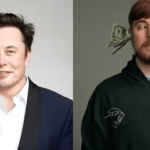 Is Elon Musk buying TikTok? Or is MrBeast joining the list?