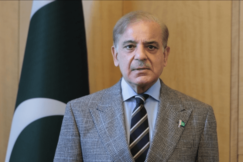 Economic Growth Tied to Political Stability: PM Shehbaz Sharif