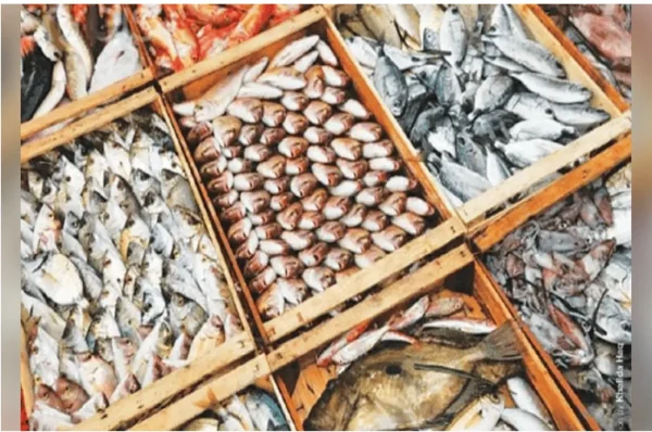 Pakistan Food Exports: Seafood and Rice Shine