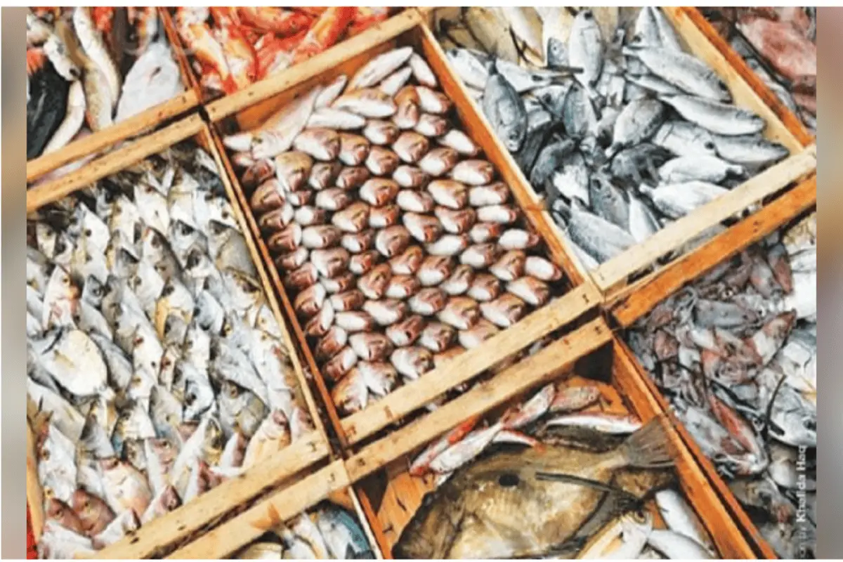 Pakistan Food Exports: Seafood and Rice Shine