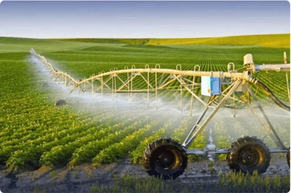 Pakistan’s Agricultural Innovation to Shine on Global Stage