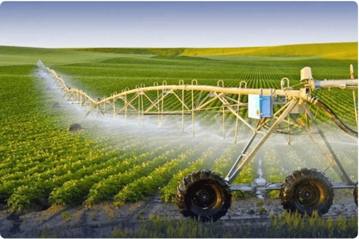 Pakistan’s Agricultural Innovation to Shine on Global Stage